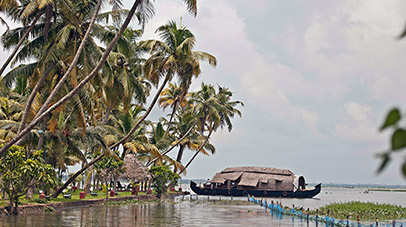 domestic-hills-backwaters-of-kerala
