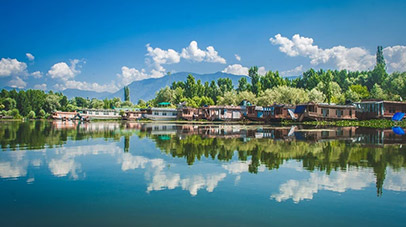 domestic-karismatic-kashmir