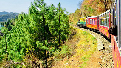 domestic-serene-himachal