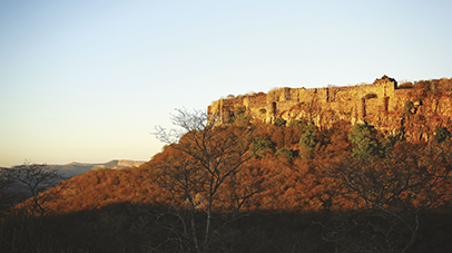 short-getaways-with-3-nights-ranthambore-sariska