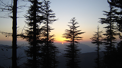 short-getaways-with-3-nights-shimla-chail