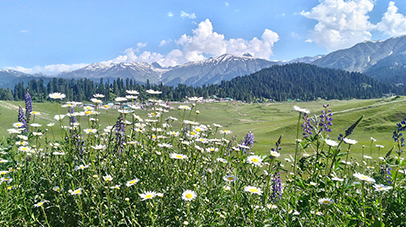 short-getaways-with-3-nights-srinagar-gulmarg