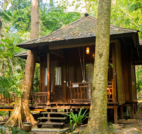 barefoot-at-havelock