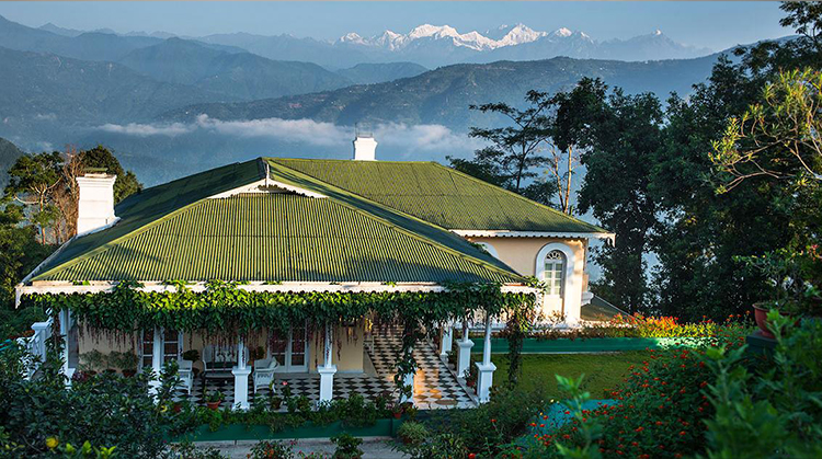 in-summer-months-glenburn-tea-estate-darjeeling