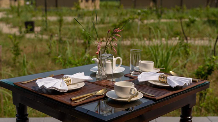 in-winter-months-claridges-aalia-jungle-bandarjudh