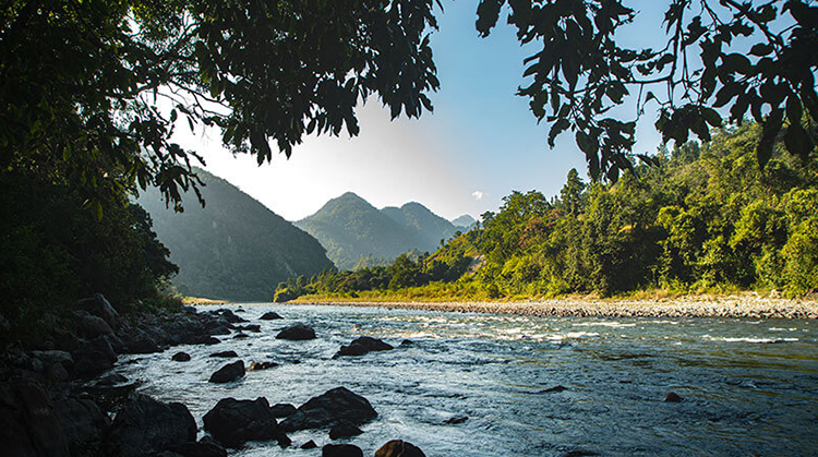 in-winter-months-western-ramganga-riverlodge-corbett